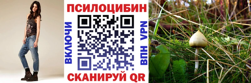 Галлюциногенные грибы мицелий  Калтан 